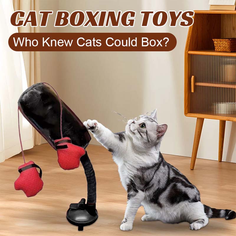 Katt Boxnings Leksaker
