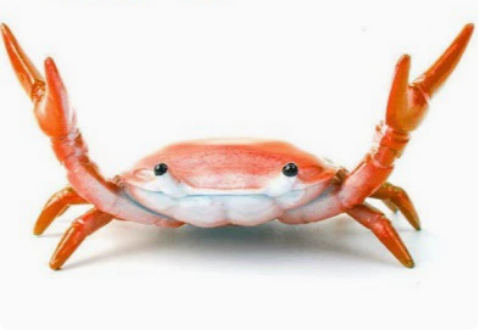 🔥2026 - 🦀 Søt krabbeformet penneholder