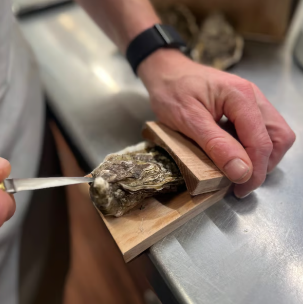 Oyster-skrapeklemme