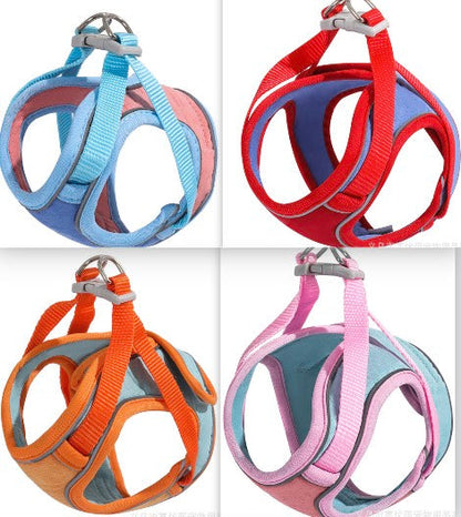 Kattesele og bånd