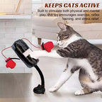 Katt Boxnings Leksaker