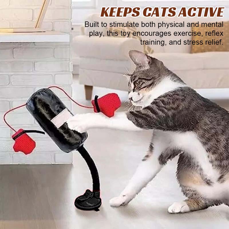 Katt Boxnings Leksaker