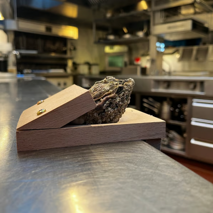 Oyster-skrapeklemme