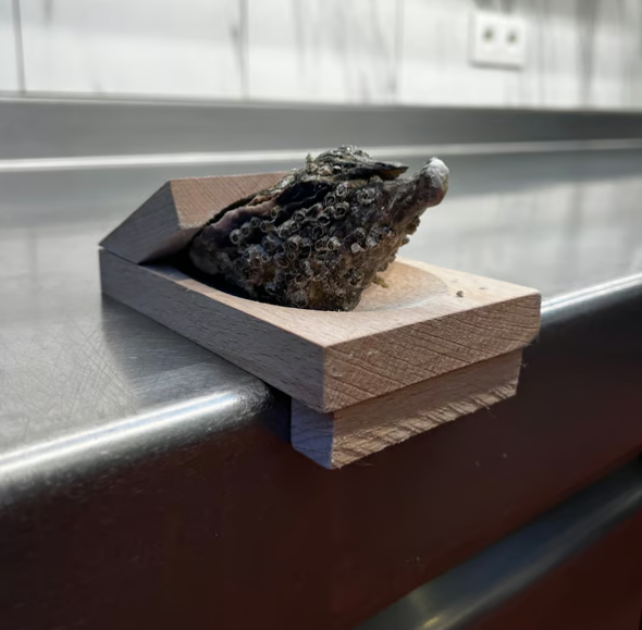 Oyster-skrapeklemme