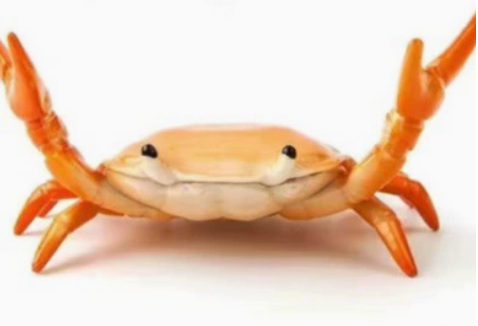 🔥2026 - 🦀 Søt krabbeformet penneholder