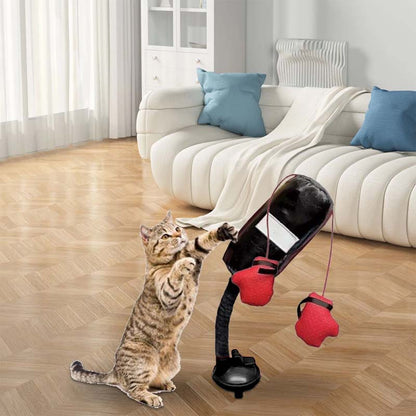 Katt Boxnings Leksaker
