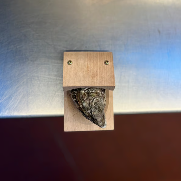 Oyster-skrapeklemme