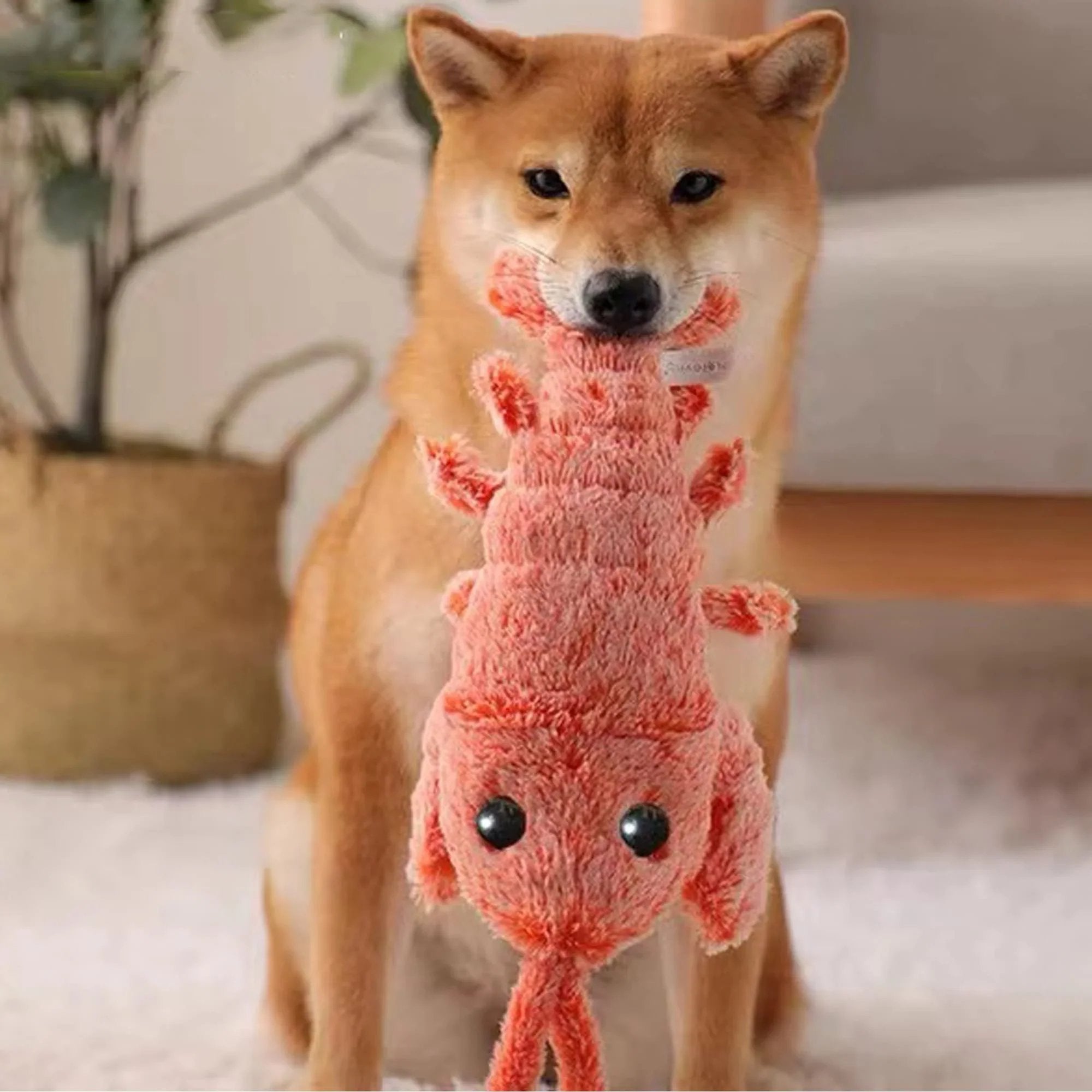 🔥Floppy Lobster Interaktiv Hundleksak