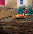 🔥2026 - 🦀 Søt krabbeformet penneholder