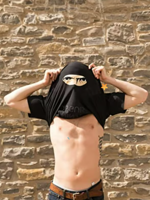 🔥🤣Ninja Disguise T-skjorte