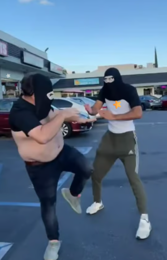 🔥🤣Ninja Disguise T-skjorte