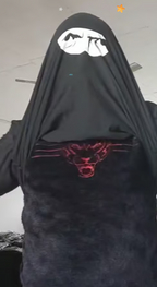 🔥🤣Ninja Disguise T-skjorte