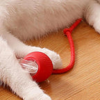 🐱🐶Smart Automatisk Rullande Husdjursboll💥