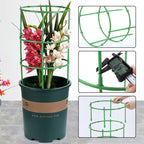 Avtagbart växtställ med stödpinnar för växter, blommor och frukter