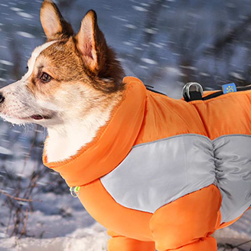 Reflekterende vanntett, tykkere og varm hundejakke for små hunder