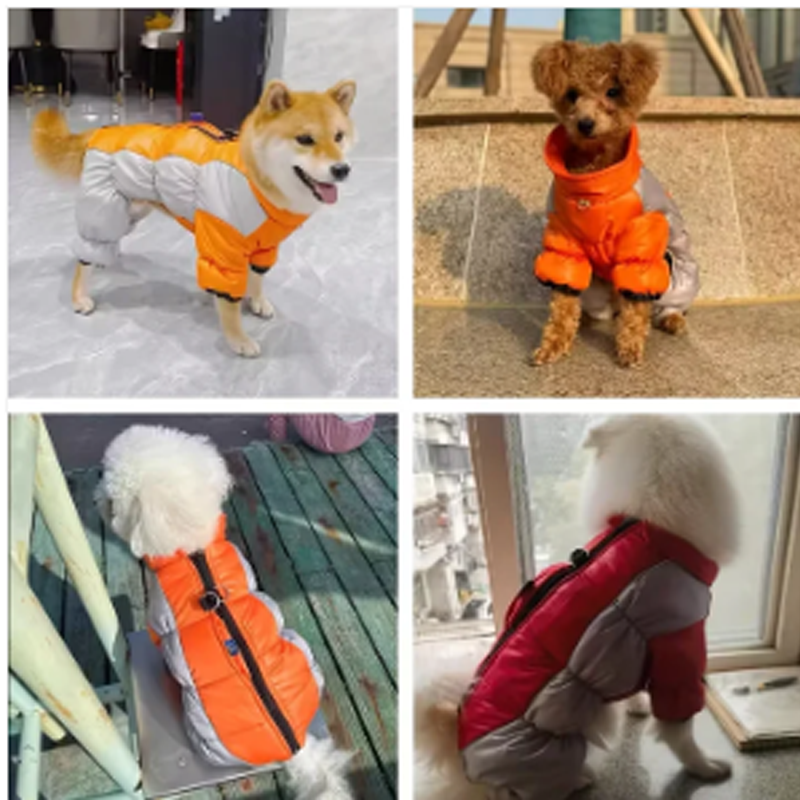 Reflekterende vanntett, tykkere og varm hundejakke for små hunder