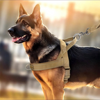 🥳🐕💪Robust taktisk hundesele - drar ikke, kveles ikke🛡️✨
