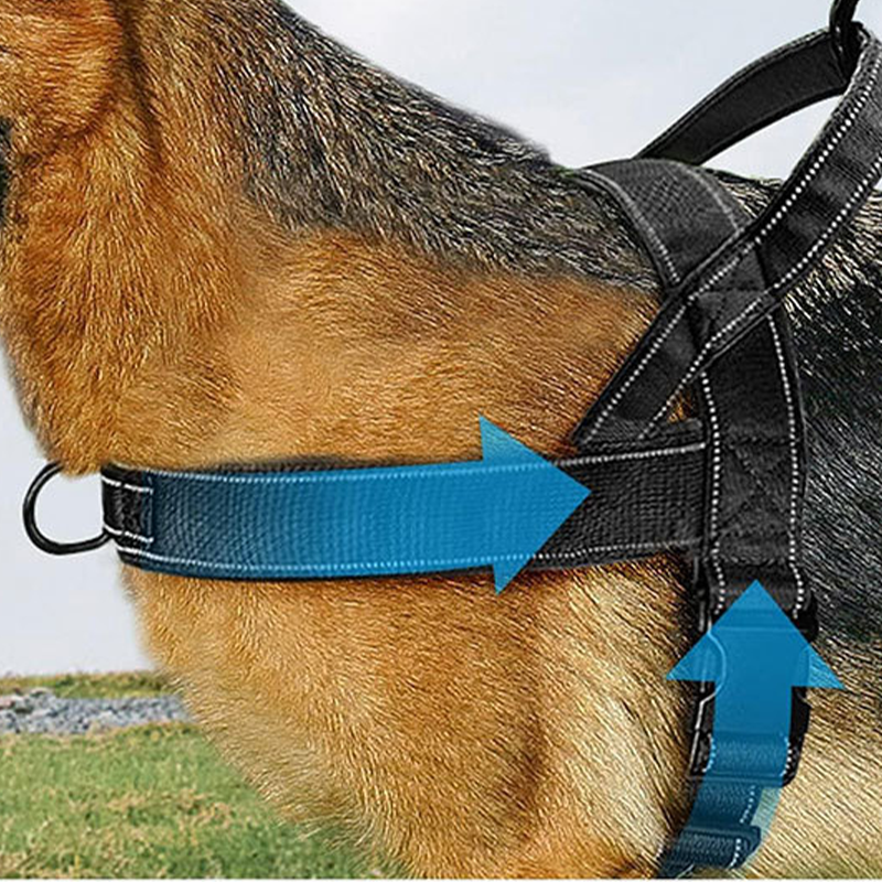 🥳🐕💪Robust taktisk hundesele - drar ikke, kveles ikke🛡️✨